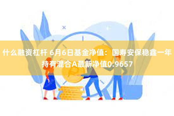 什么融资杠杆 6月6日基金净值：国寿安保稳鑫一年持有混合A最新净值0.9657