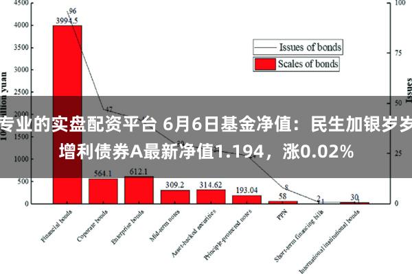 专业的实盘配资平台 6月6日基金净值：民生加银岁岁增利债