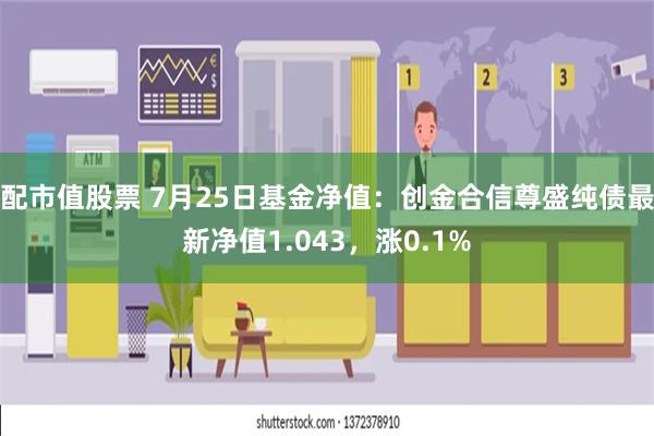 配市值股票 7月25日基金净值：创金合信尊盛纯债最新净值