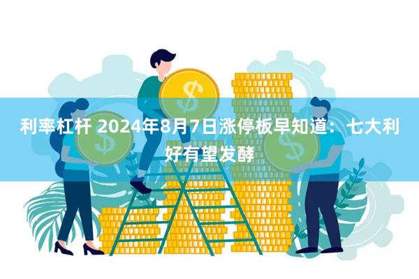 利率杠杆 2024年8月7日涨停板早知道：七大利好有望发