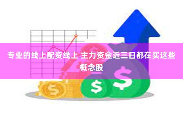 专业的线上配资线上 主力资金近三日都在买这些概念股