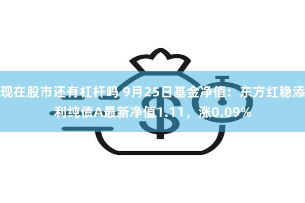 现在股市还有杠杆吗 9月25日基金净值：东方红稳添利纯债A最