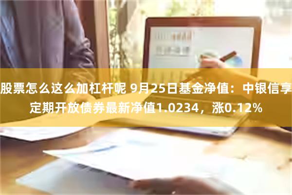 股票怎么这么加杠杆呢 9月25日基金净值：中银信享定期开放债券最新净值1.0234，涨0.12%