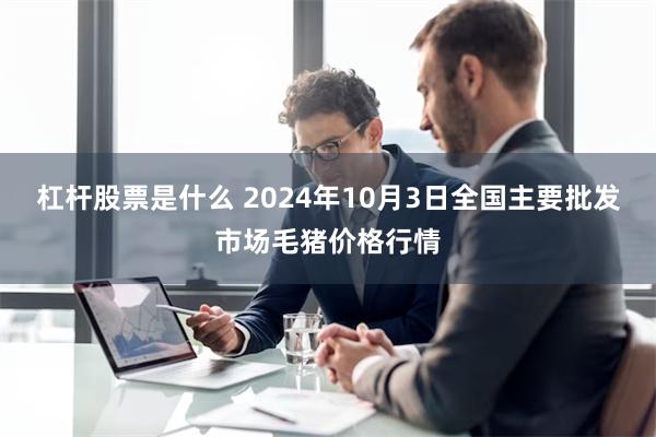 杠杆股票是什么 2024年10月3日全国主要批发市场毛猪价格行情