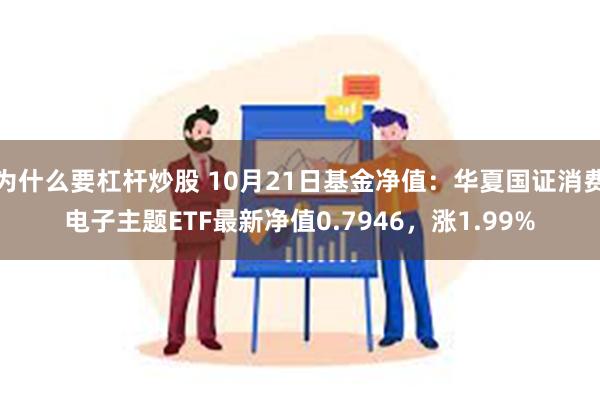 为什么要杠杆炒股 10月21日基金净值：华夏国证消费电子