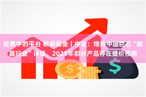 股票中的平台 研报掘金丨中金：维持中国巨石“跑赢行业”评级，