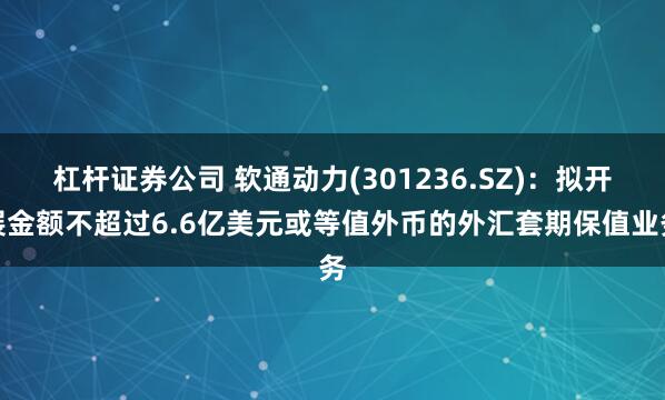 杠杆证券公司 软通动力(301236.SZ)：拟开展金额不超过6.6亿美元或等值外币的外汇套期保值业务