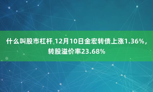 什么叫股市杠杆 12月10日金宏转债上涨1.36%，转股溢价率23.68%