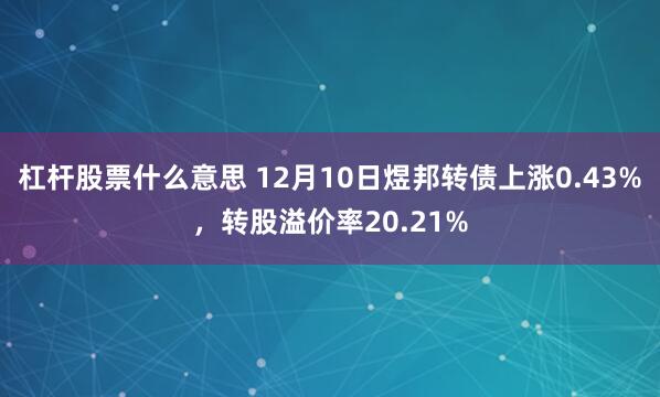 杠杆股票什么意思 12月10日煜邦转债上涨0.43%，转股溢价率20.21%