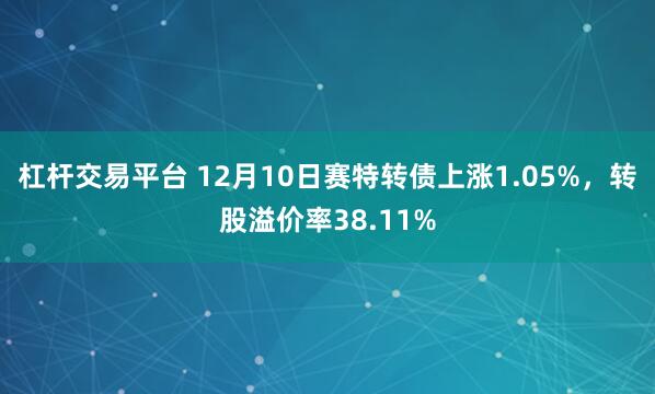 杠杆交易平台 12月10日赛特转债上涨1.05%，转股溢价率38.11%