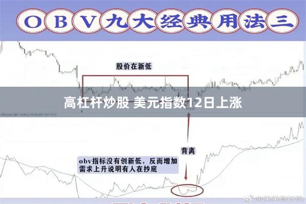 高杠杆炒股 美元指数12日上涨