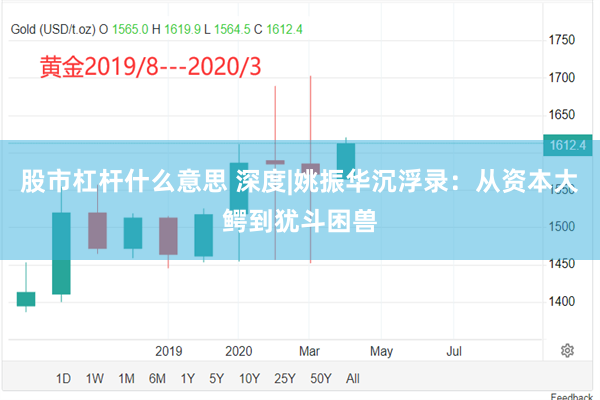 股市杠杆什么意思 深度|姚振华沉浮录：从资本大鳄到犹斗困兽