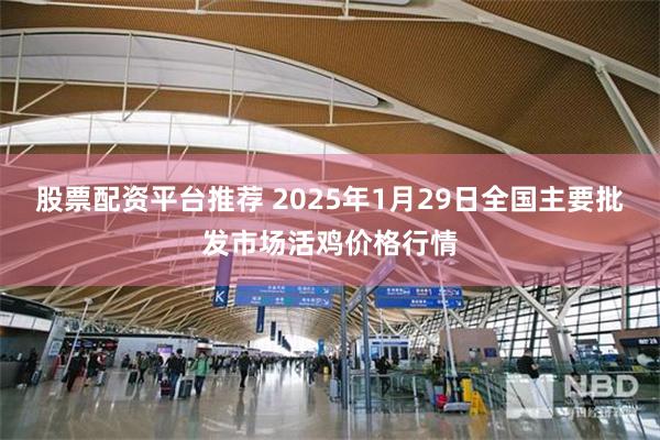 股票配资平台推荐 2025年1月29日全国主要批发市场活鸡价格行情