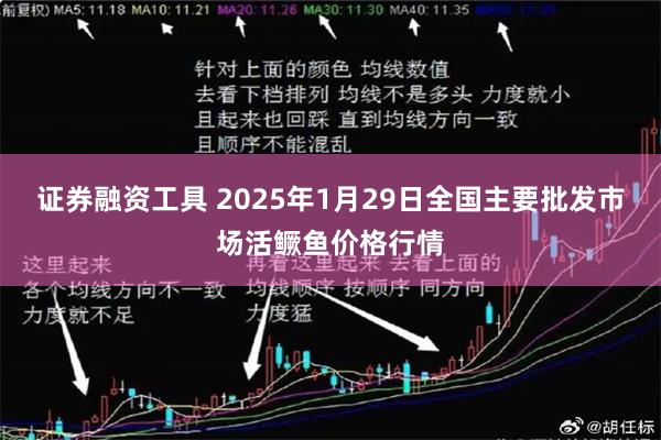 证券融资工具 2025年1月29日全国主要批发市场活鳜鱼价格行情