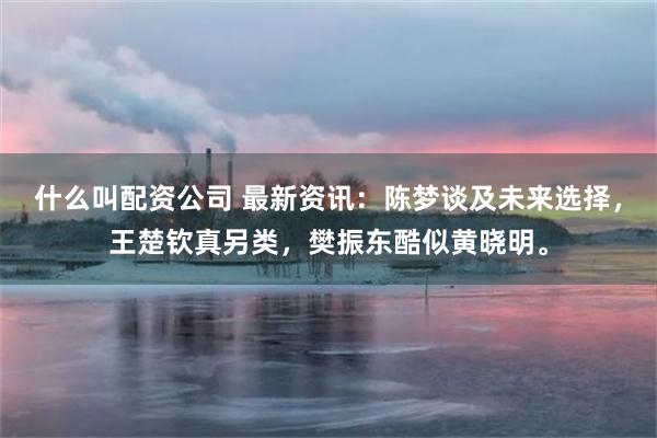 什么叫配资公司 最新资讯：陈梦谈及未来选择，王楚钦真另类，樊振东酷似黄晓明。