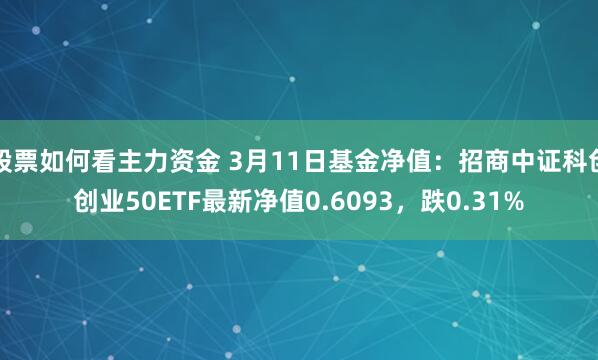 股票如何看主力资金 3月11日基金净值：招商中证科创创业50ETF最新净值0.6093，跌0.31%